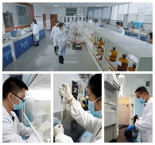 特驅(qū)酵享悅生物發(fā)酵替抗產(chǎn)品成功上市 開啟綠色養(yǎng)殖新篇章