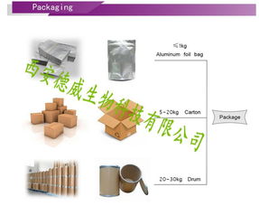 技術(shù)賦能下的產(chǎn)品報(bào)價(jià)策略與市場(chǎng)推廣