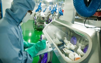 新舊動(dòng)能轉(zhuǎn)換新引擎 市北生物技術(shù)研發(fā)中心投入使用，科技創(chuàng)新集聚效應(yīng)初顯